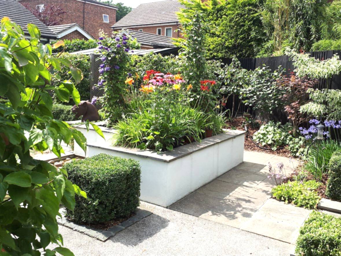 arden design in Bracknell, Berkshire with raised planters and clipped Buxus.