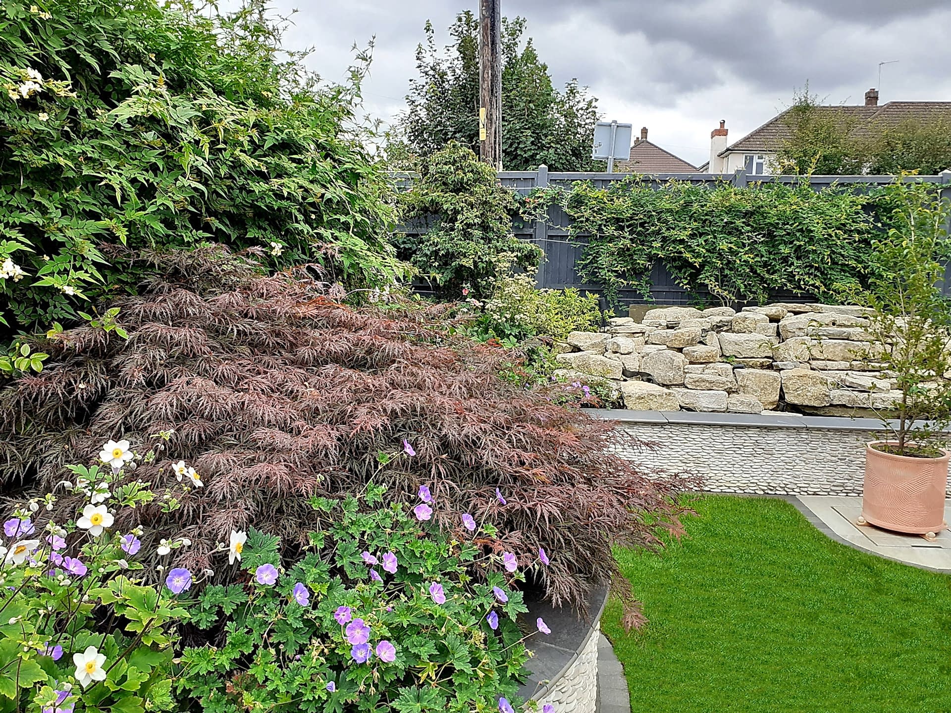 Garden design in Windsor Berkshire with swimming pool and outdoor kitchen